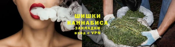 spice Богданович