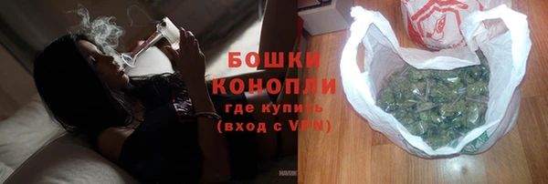 spice Богданович