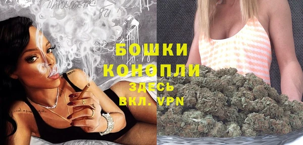 spice Богданович