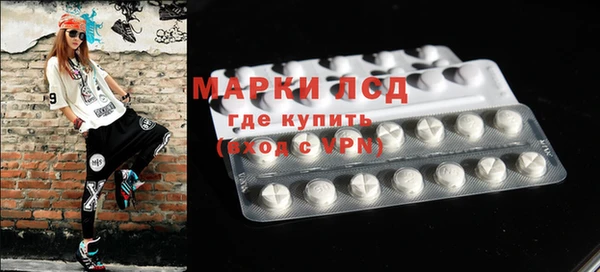 spice Богданович