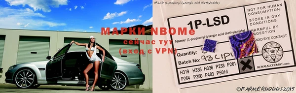 spice Богданович