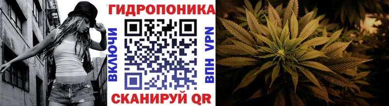 Шишки марихуана White Widow Среднеколымск